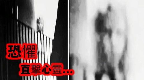 猎奇在线视频免费,免费探秘未知世界的惊悚之旅